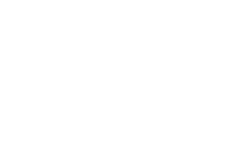 Logo_Maenner-vom-Morgenstern_weiss